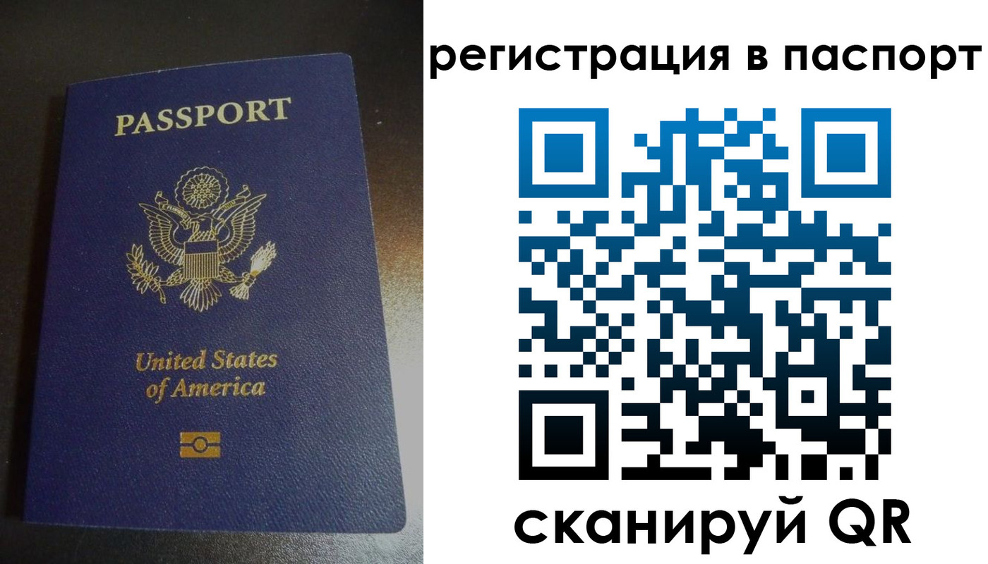 прописка для школы в Отрадном
